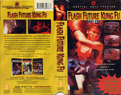 Flash Future Kung-fu